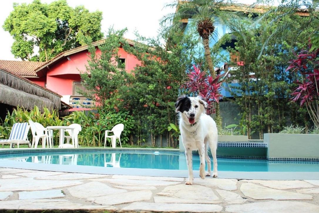 Pousada North Shore Maresias - 2 Quadras Da Praia - Casas De 2 Quartos - 80 M2 -2 Banheiros -Piscina Sauna - Estacion-Churrasq Privativa -Wifi Animais De Peq Porte Roupa De Cama E Banho Extérieur photo